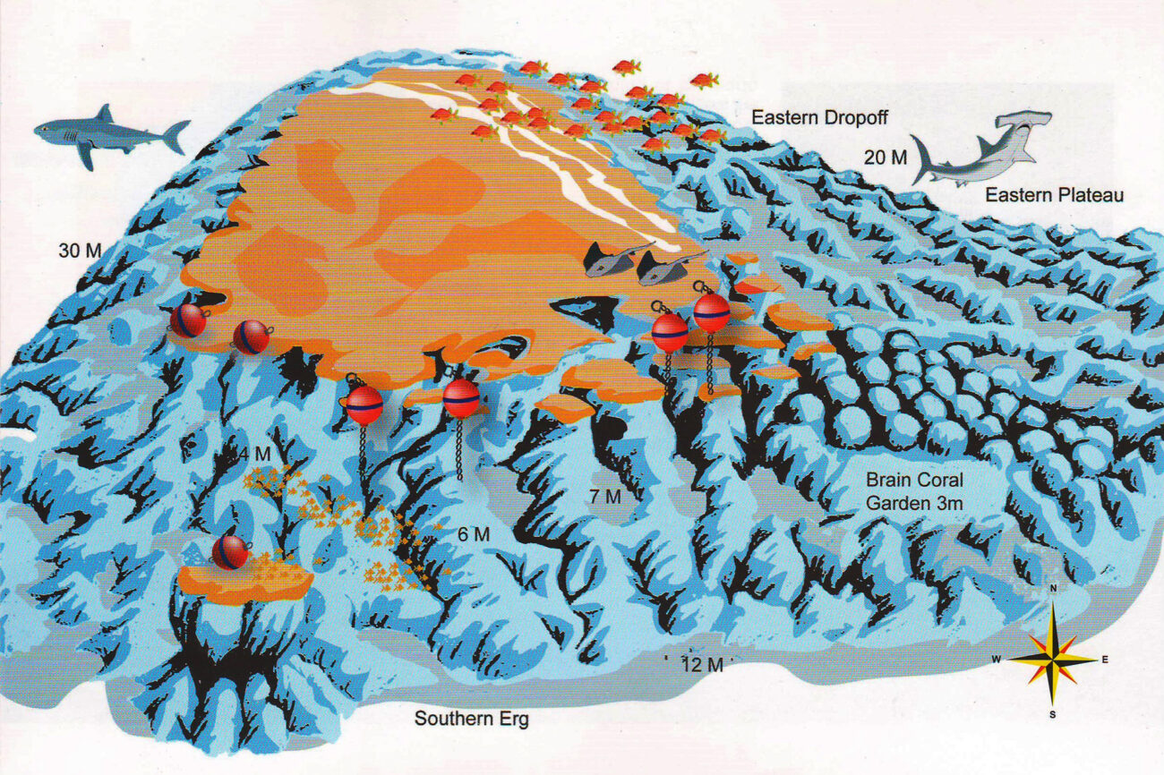 Middle-reef